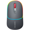 CANYON mouse MW-22 2in1 BT/ Wireless Dark Grey