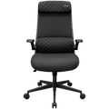 COUGAR Stryder Gaming Chair